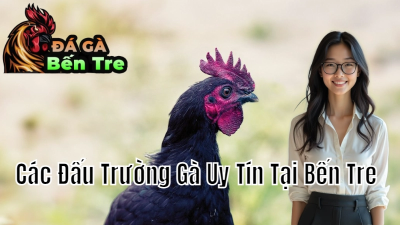 Các Đấu Trường Gà Uy Tín Tại Bến Tre