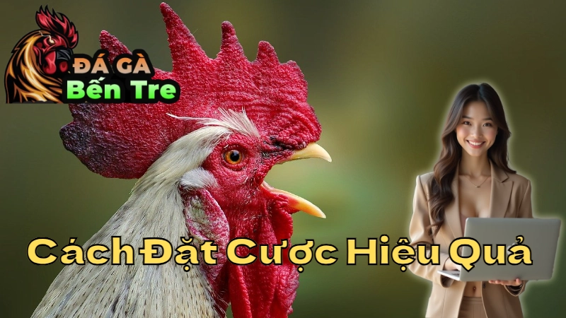 Cách Đặt Cược Hiệu Quả Tại Bến Tre