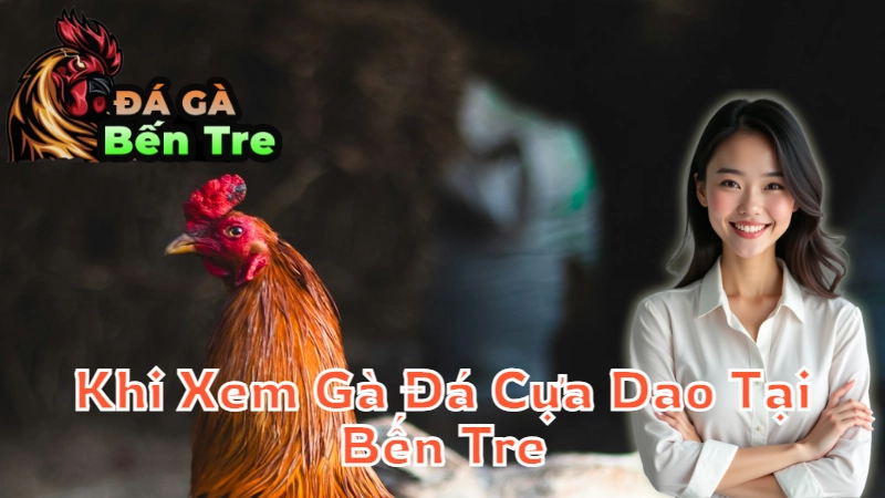 Cách Đặt Cược Khi Xem Gà Đá Cựa Dao Tại Bến Tre