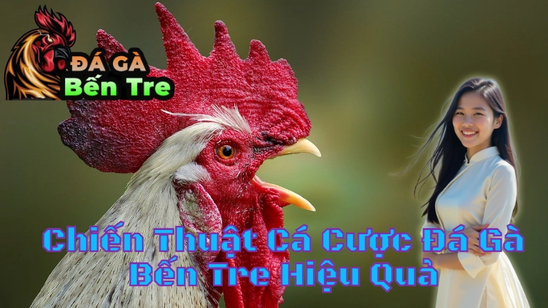 Chiến Thuật Cá Cược Đá Gà Bến Tre Hiệu Quả