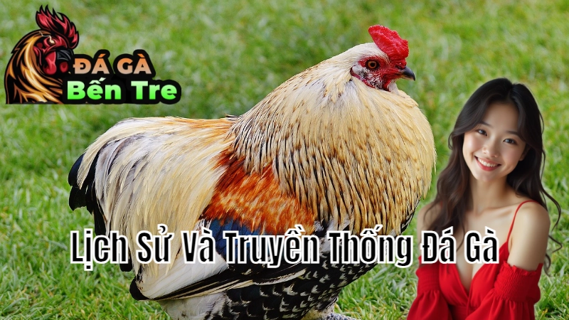 Lịch Sử Và Truyền Thống Đá Gà Bến Tre