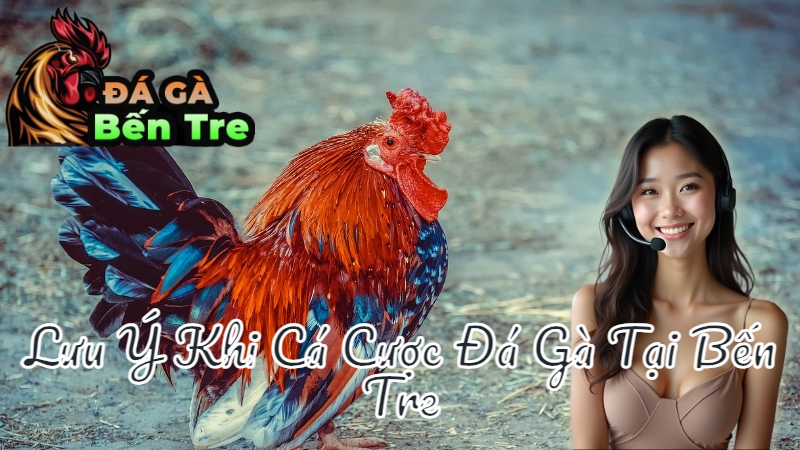 Lưu Ý Khi Cá Cược Đá Gà Tại Bến Tre