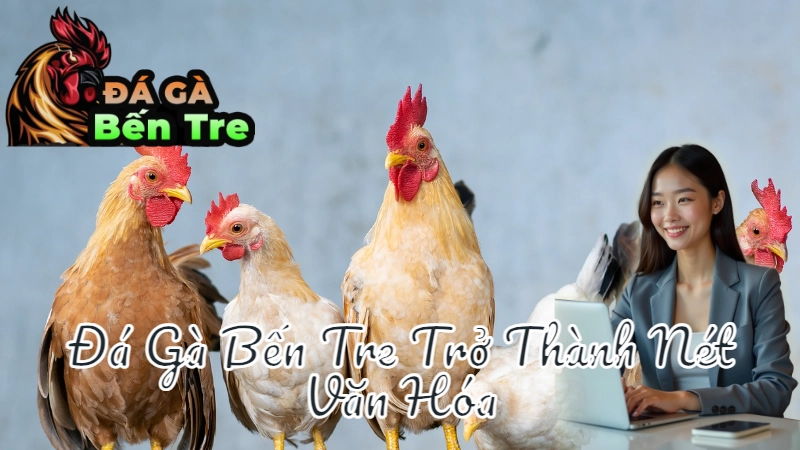 Lý Do Đá Gà Bến Tre Trở Thành Nét Văn Hóa Địa Phương