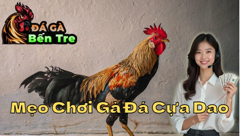 Mẹo Chơi Gà Đá Cựa Dao Để Thắng Lớn