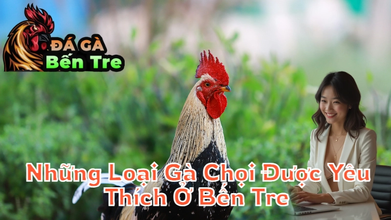 Những Loại Gà Chọi Được Yêu Thích Ở Bến Tre