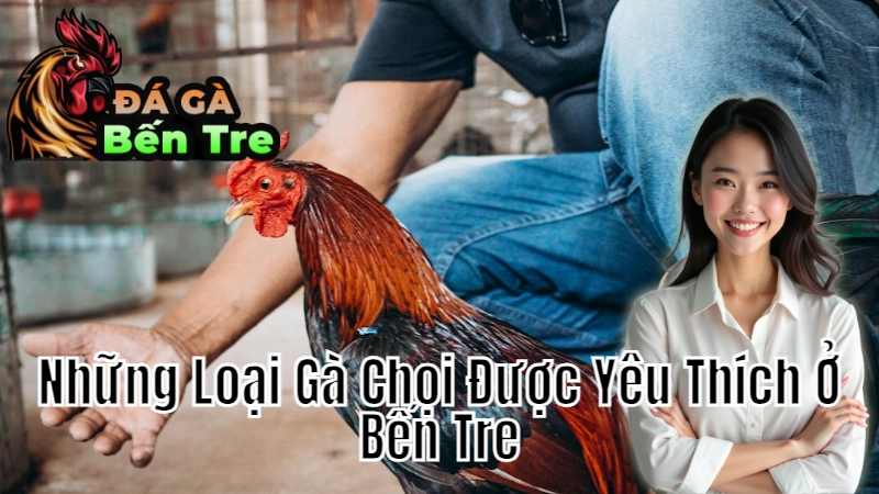 Những Loại Gà Chọi Được Yêu Thích Ở Bến Tre