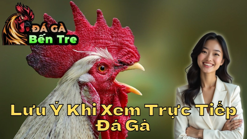 Những Lưu Ý Khi Xem Trực Tiếp Đá Gà