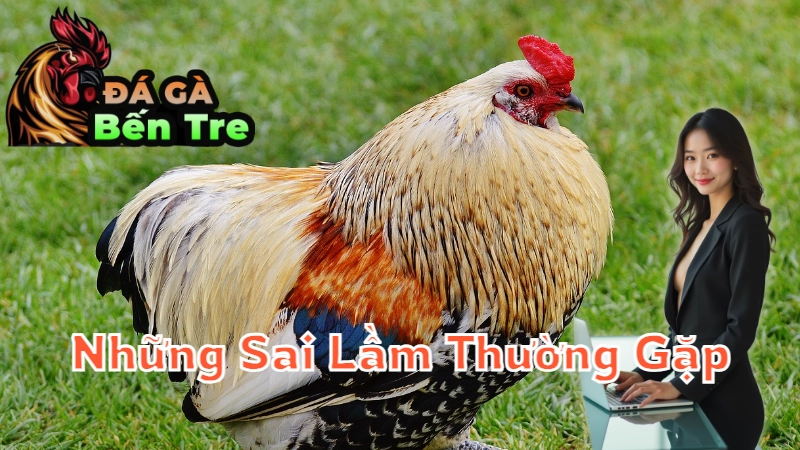 Những Sai Lầm Thường Gặp Khi Cá Cược Đá Gà