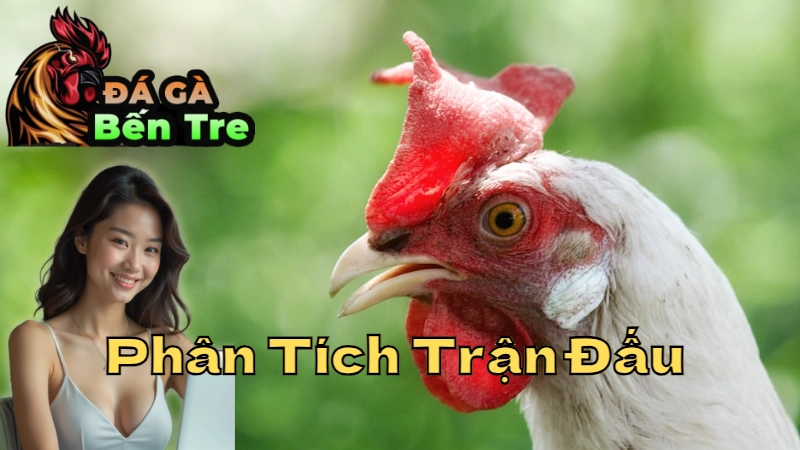 Phân Tích Trận Đấu Khi Xem Gà Trực Tiếp