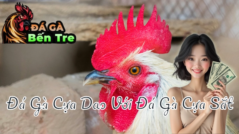 So Sánh Đá Gà Cựa Dao Với Đá Gà Cựa Sắt