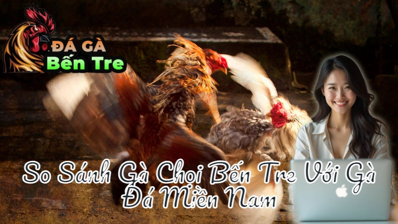 So Sánh Gà Chọi Bến Tre Với Gà Đá Miền Nam