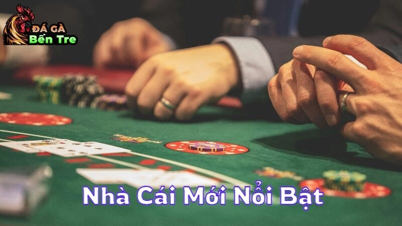 Nhà Cái Mới Nổi Bật Với Nhiều Ưu Đãi Hấp Dẫn