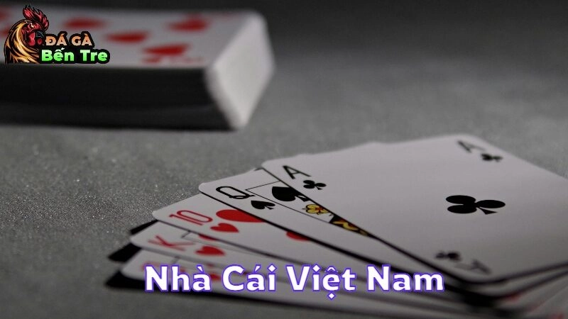 Nhà Cái Việt Nam Được Nhiều Người Chơi Lựa Chọn